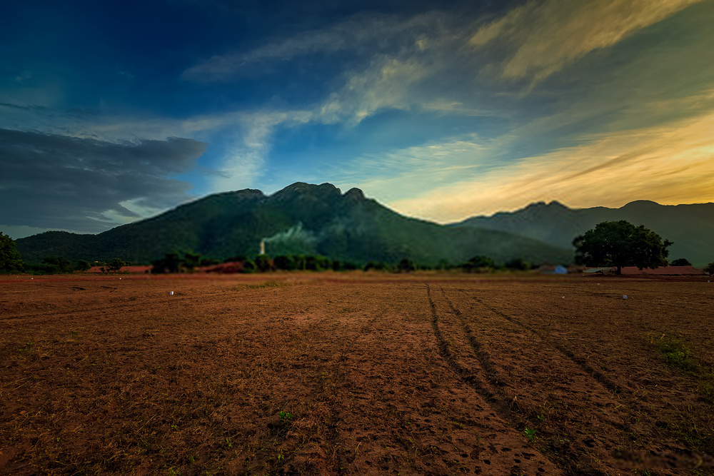 sunrise